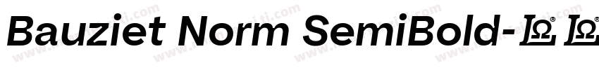Bauziet Norm SemiBold字体转换
